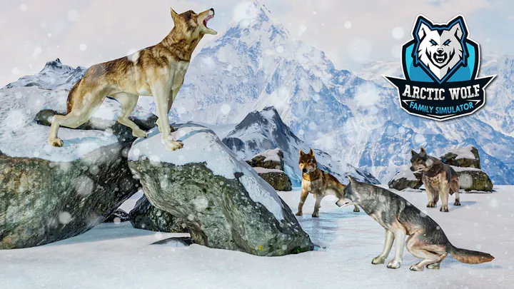 A wolf standing on a rocky ledge with the rest of the pack lying and sitting on the snow below